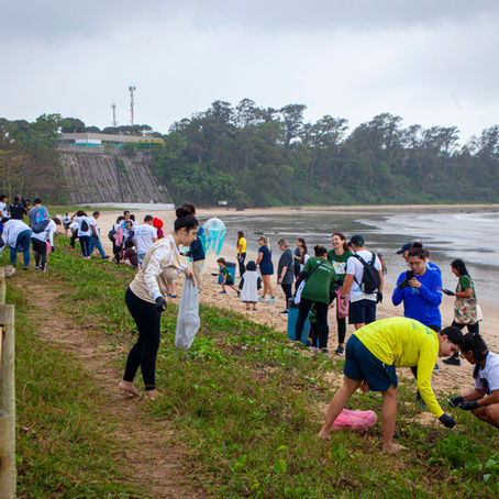 Dia Mundial da Limpeza 2025: instituto Últimos Refúgios participa com cinco ações na capital do ES  