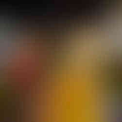 Variados momentos do Arraiá da Ilha doi Frade