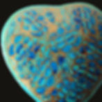 Close-up of Hand-Painted Heart Paper Mâché Trinket Box with intricate turquoise and gold floral.