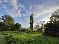 20210527_190954.jpg