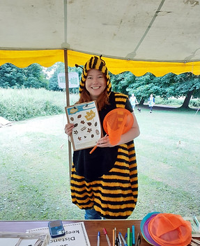 BioBlitz Bee[5278].jpeg