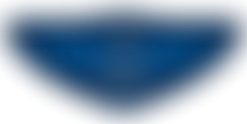Blue wings for 235 cadets