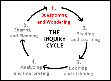 Term 1 - Inquiry Project