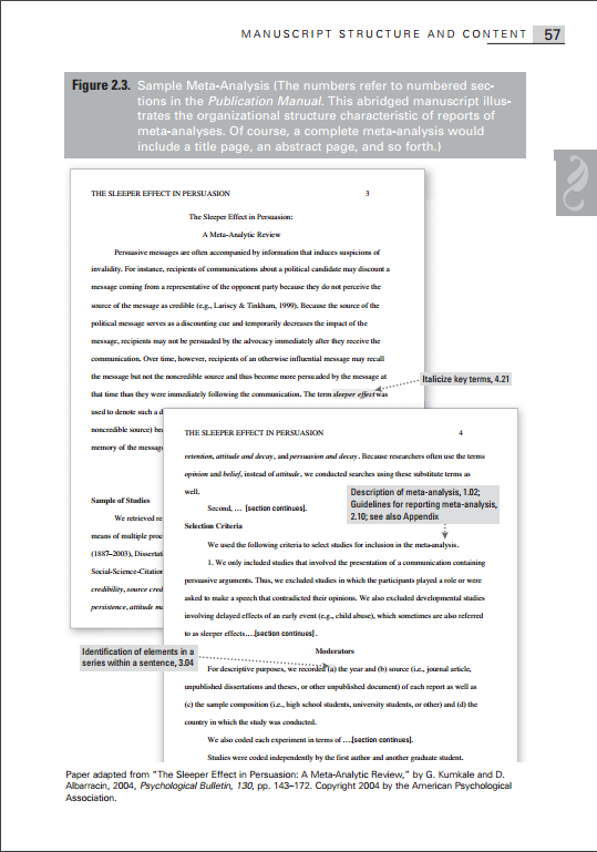 APA Essay Example