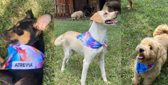 WUF: Bandanas Solidarias, WUF y Atrevia extienden la campaña para seguir ayudando a perritos en estado de abandono