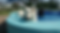 (Foto: Facebook Mi Pata Pet Hotel)
