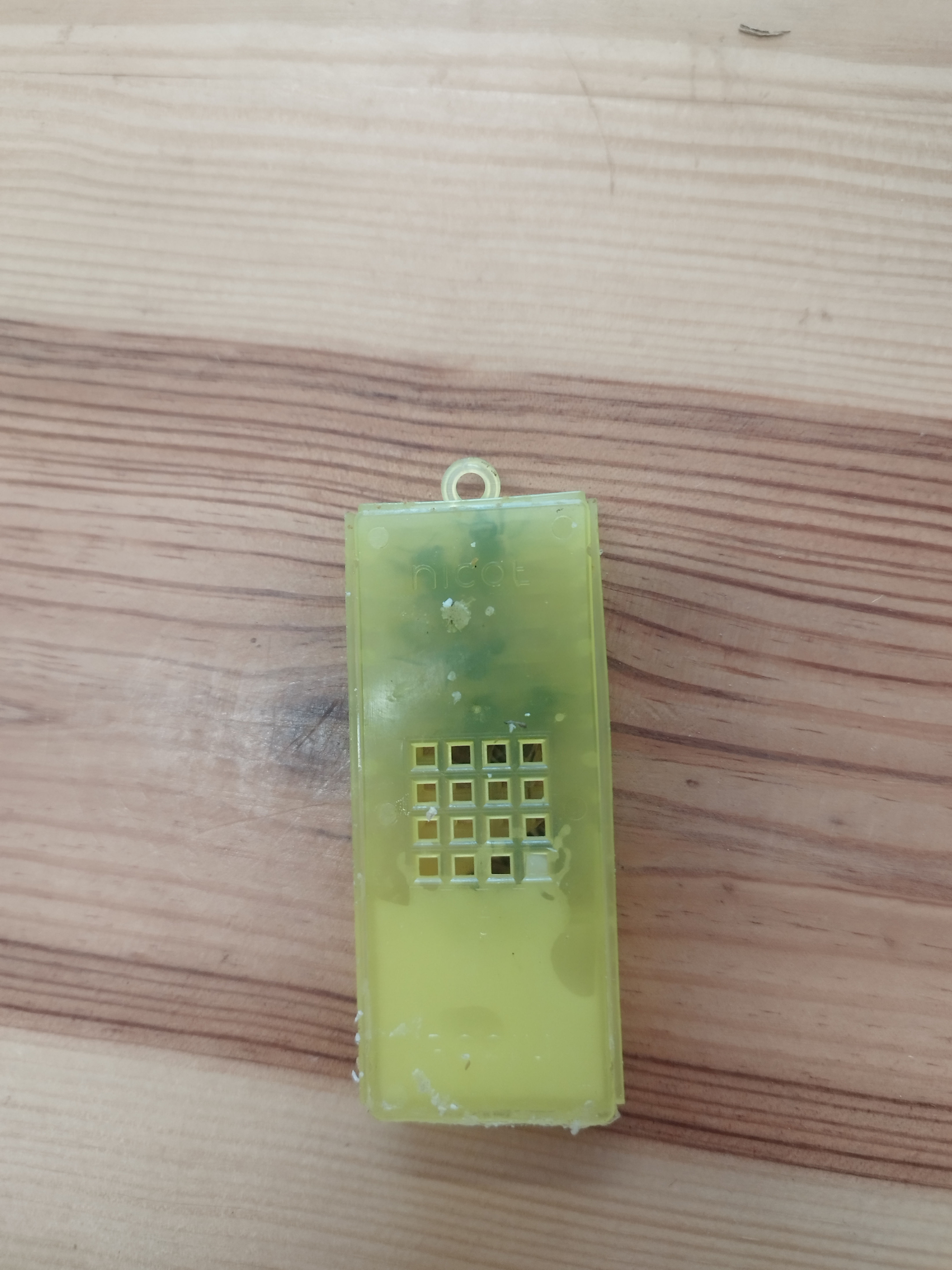 Reine de Saison Buckfast