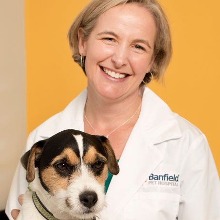 October 2019 Newsletter