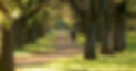 Adelaide-Park-Landsjpg.jpg