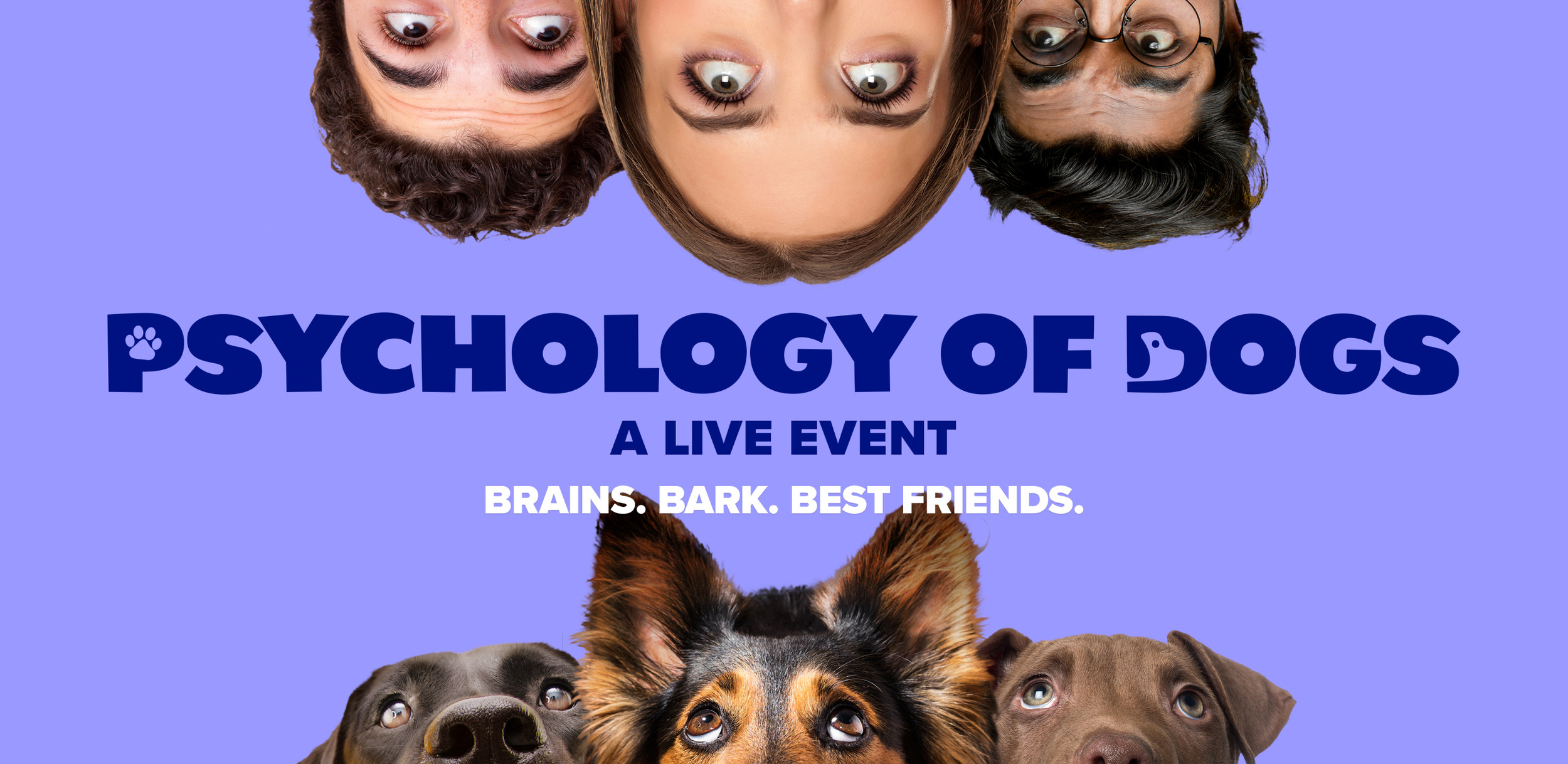 Events DFDI DogFather Dog Institute events-dfdi-dogfather-dog-institute