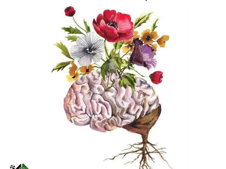 Jóvenes por la Dignidad reivindica la importancia de abordar la salud mental en la población infanto juvenil