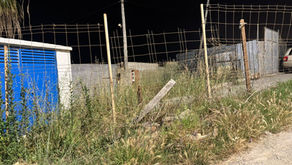 El MDyC reivindica por el Día del Medio Ambiente actuaciones de limpieza y desbroce urgentes en la mayoría de barriadas de Ceuta