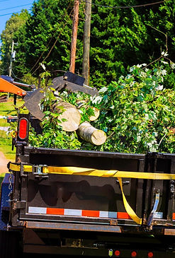 Residential junk removal