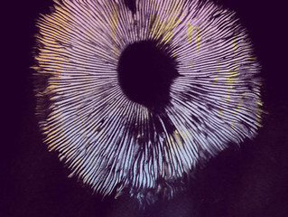 WORLD PREMIERE THE MUSHROOM SPEAKS