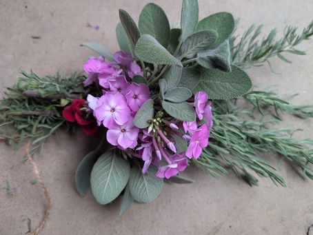 Meditations on Gardening & Writing