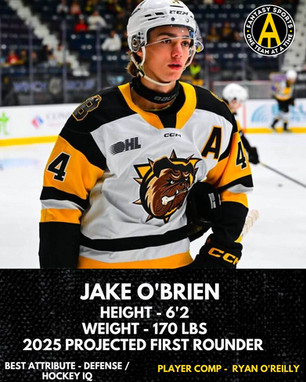 Jake O'Brien Prospect Write Up