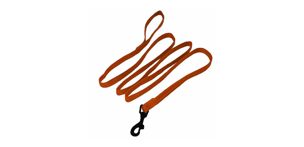 Miniatura: Dogline - Correa de Nylon