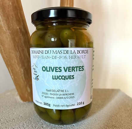 IMG_0265 (2)_edited.jpg