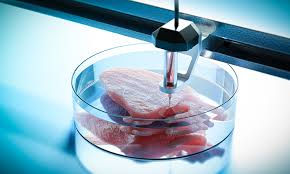 The Future of Organ Transplants: Revolutionizing Medicine with 3D Bio Printing