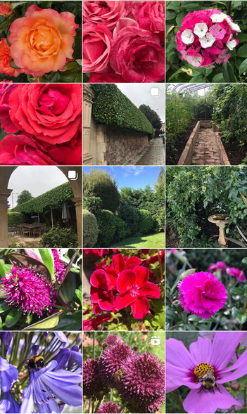 Archived Gardens 2019