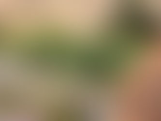 Edwardian gardens represent a cultural shift