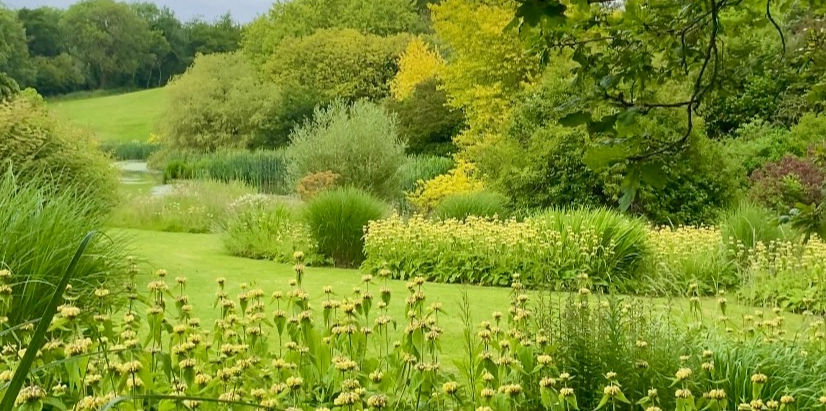 The Benefits of Controlled Air Movement in Garden Design for Plant Health and Vitality
