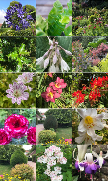 Archived Gardens 2019