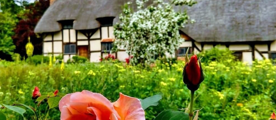 Cultivating Confidence: The Blooming History of England's WRAGS Scheme