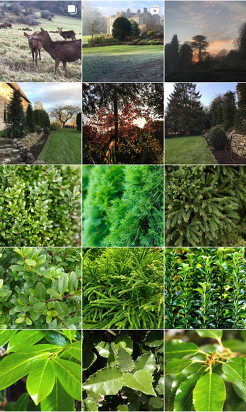 Archived Gardens 2020