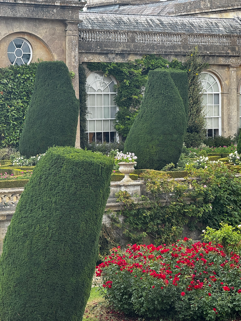 Key Considerations for Retaining, Re-positioning, or Disposing of Existing Plants in Your Garden