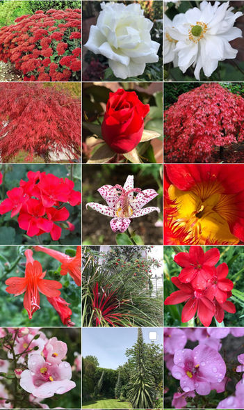 Archived Gardens 2020