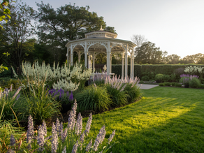 Understanding the Key Differences Between Pergolas Arbours and Gazebos