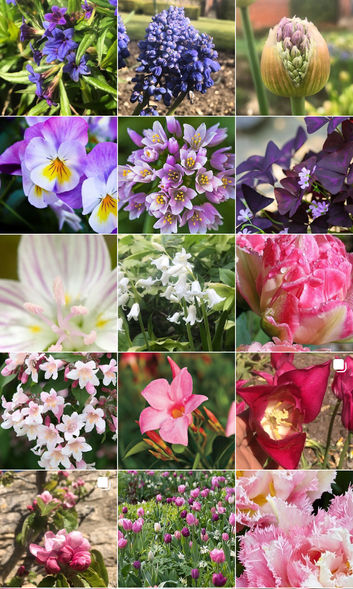 Archived Gardens 2021