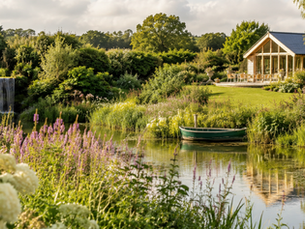 Discover the Enchanting Beauty of Somerset's Lady Farm Gardens