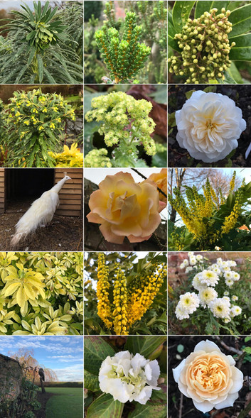 Archived Gardens 2020