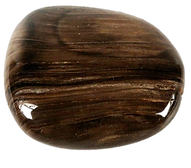Bois fossillisé