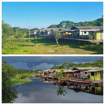 Regularização Fundiária e o Fortalecimento dos Territórios Extrativistas no Pará