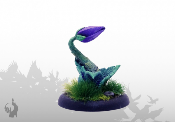 Miniaturbild: Setzlinge (2x)