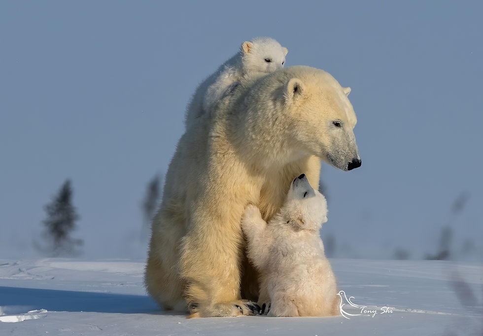 Playful baby