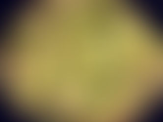 Kremet pasta med reker, chilli og avocado