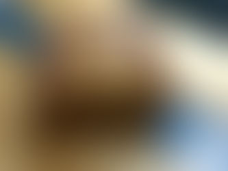 The Best Zucchini Bread