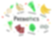 What are Prebiotics and Probiotics?