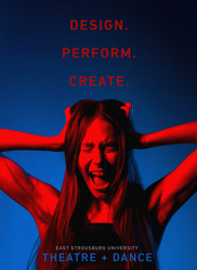 Theater Concept poster 3