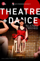 Theater cover