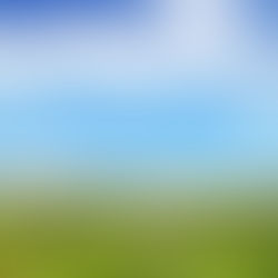 ホムペつくったぞい。