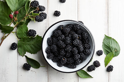 iStock-817121698.jpg
