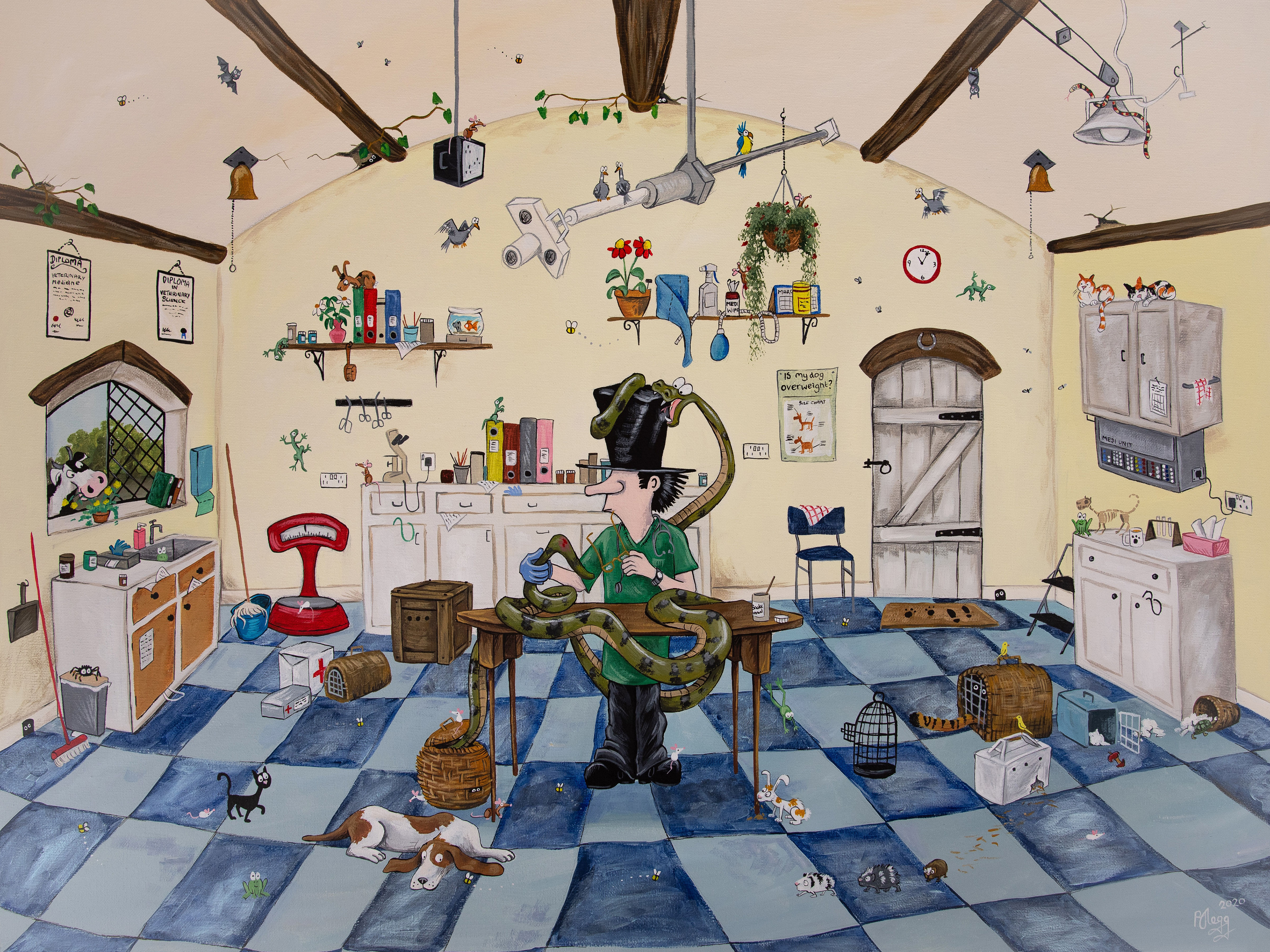 The Vet Fine Art Print