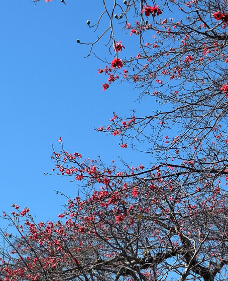 IMG_8482.jpg