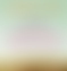 After I Do by Taylor Jenkins Reid