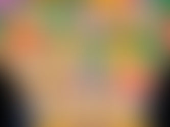 The Collected Regrets of Clover by Nikki Brammer